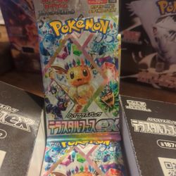 5 Packs Terastal Festival