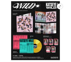 Katseye vinyl record in wrapper (2)