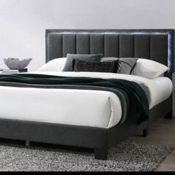 Queen Size Grey Led Light W Orthopedic Mattress