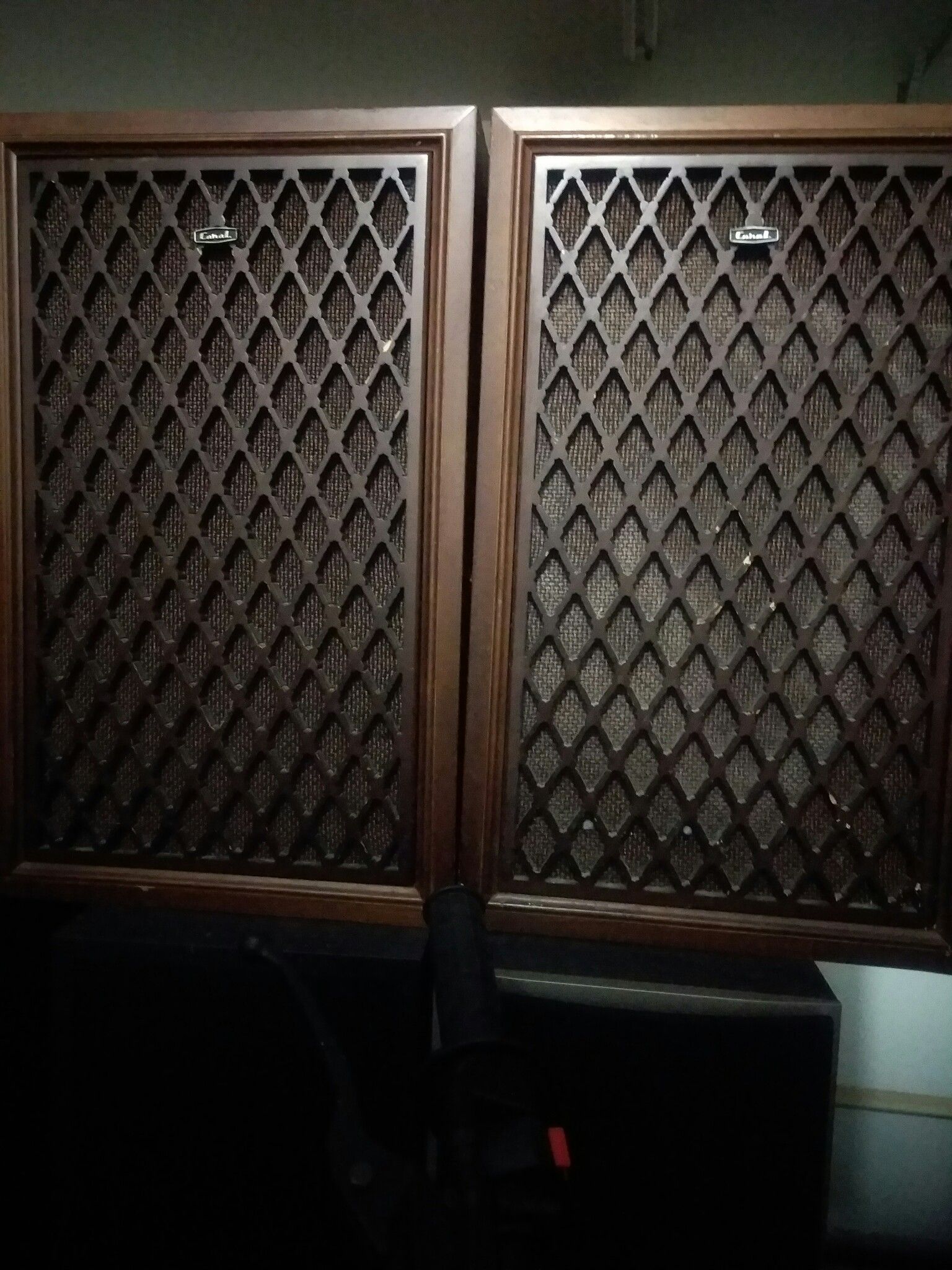 Pair of vintage coral speakers