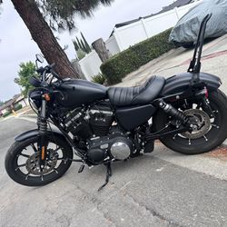 Harley Davidson 2021 XL883N Iron 883