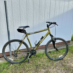 Trek Mountain Bike