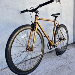 Custom Fixie Bike 🚲