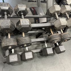 85-120 Dumbbell Set & Rack