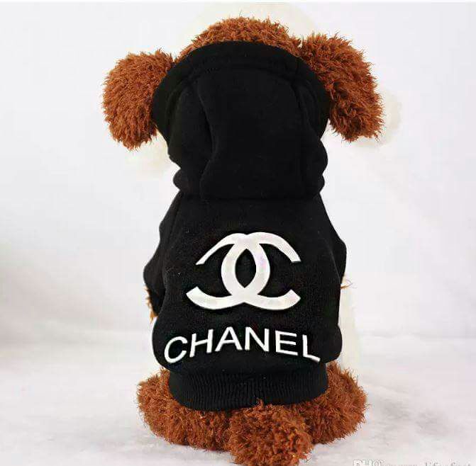 Chanel dog outfit, chanel dog dress