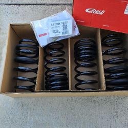 Eibach Springs 