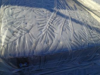Brand new queen size plush Sealy mattress and box spring free delivery depends on location