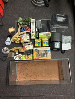 Snake / Reptile Starter Kit Tank