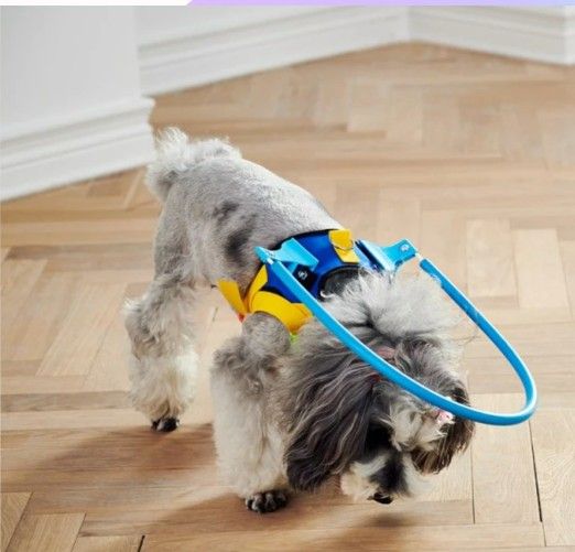 Pet Safe Harness Anti-collision Ring Pets Size XS  