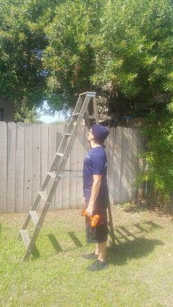 wood ladder
