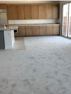 Brand new never been lived on carpet