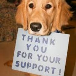 2000 BMW K1200 LT champagne gold