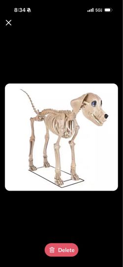 Home Depot Halloween Decoration 7Ft Skelly’s Dog