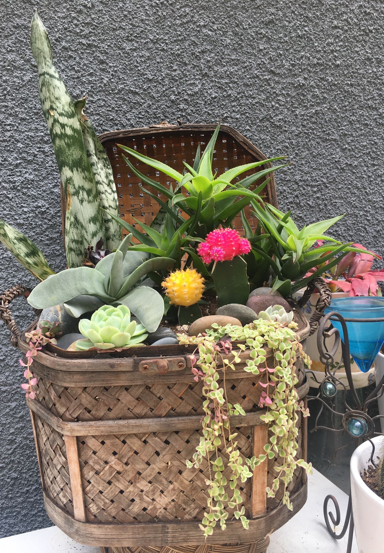 Vintage basket arrangement!