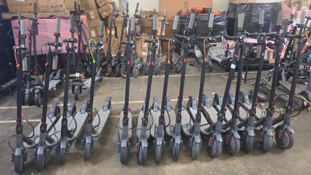 Electric adult scooter