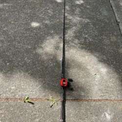 Favorite Fishing Rod