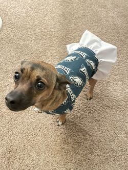 Eagles Dog Dress