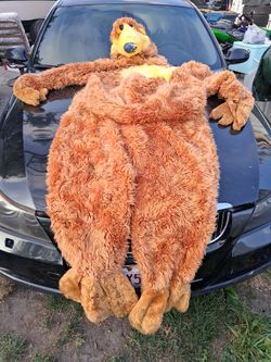 Bear