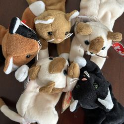 Ty Beanie Babies 5 Cats 