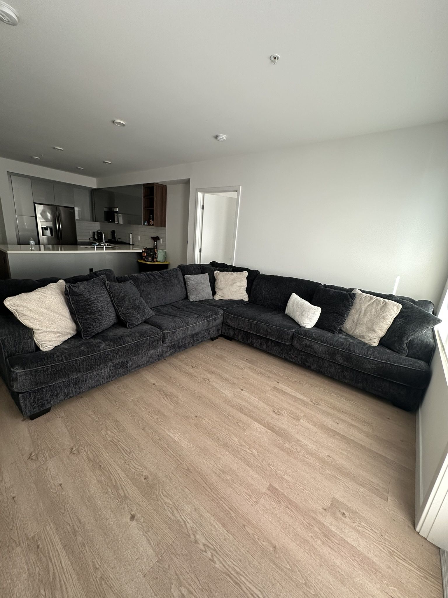 Dark Gray Couch(10x8)