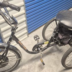 1000w ELECTRIC TRIKE w 48v Bat. And Charger