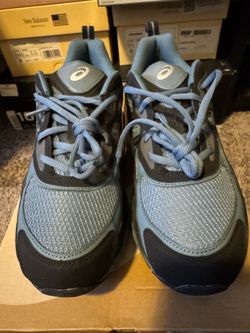 Asics nyc gel 1.0 ironclad size 11