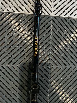 Fishing Rod and Reel Combo Penn squall 50LD