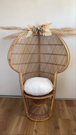 Peacock Chair
