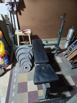 Workout Bench with 260 lbs of Standard Olympic size weights and two 15 lbs dumbells