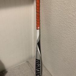 Baseball Bat
