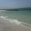 Jess
