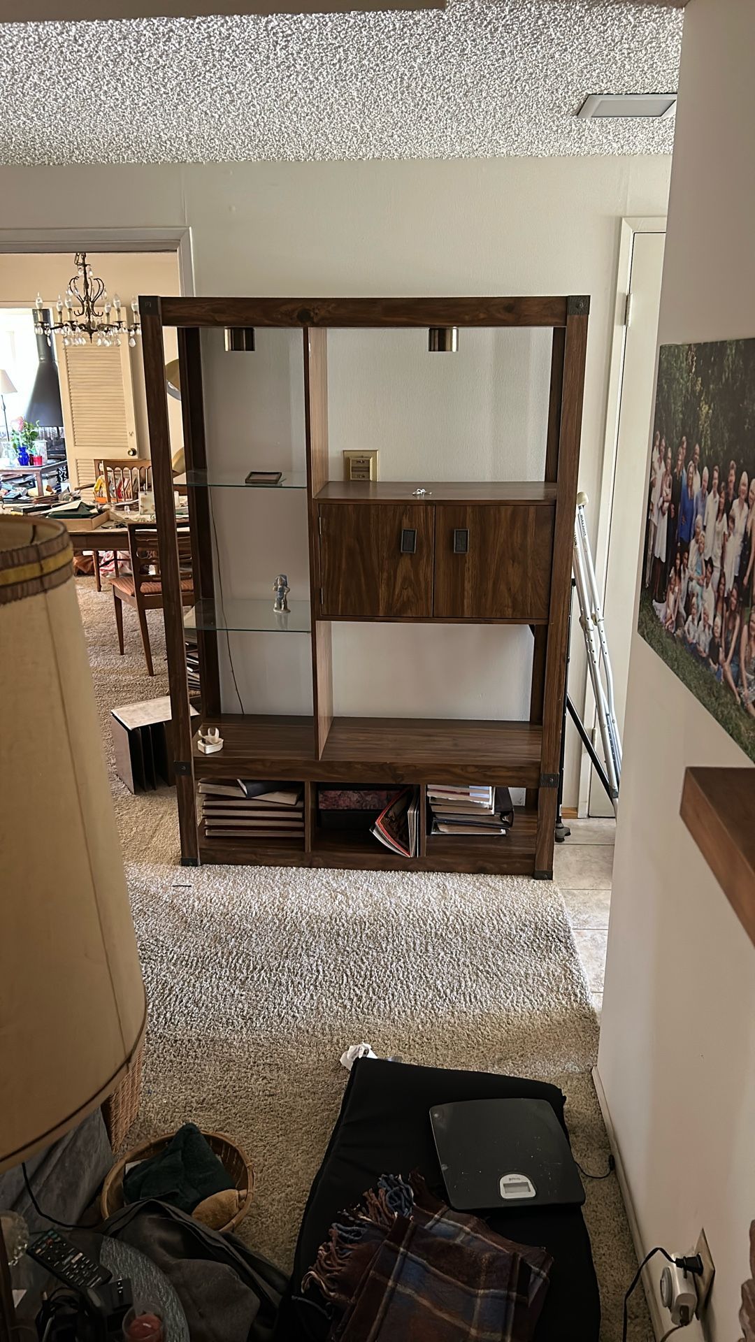 Curio Cabinet / Shelves