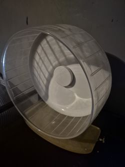 10 Inch Hamster Wheel 20$