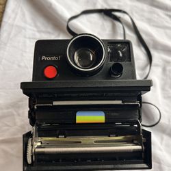 Polaroid Land Camera: Pronto! 