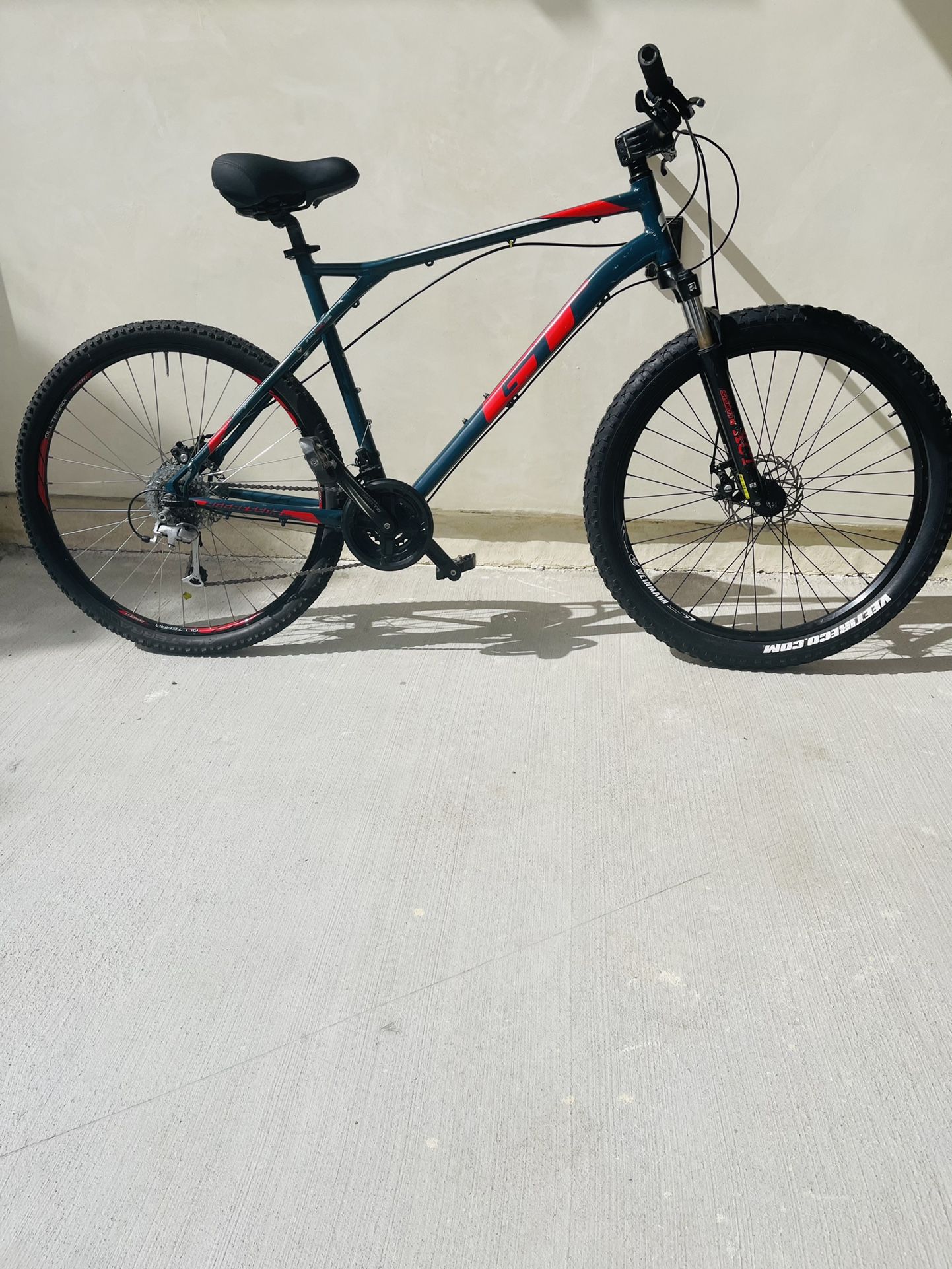 Custom Mountain Bike 