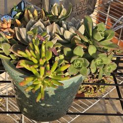 Beautiful Green Ceramic Planter Packed With Succulents 