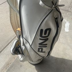 Vintage White Ping Bag And Cover