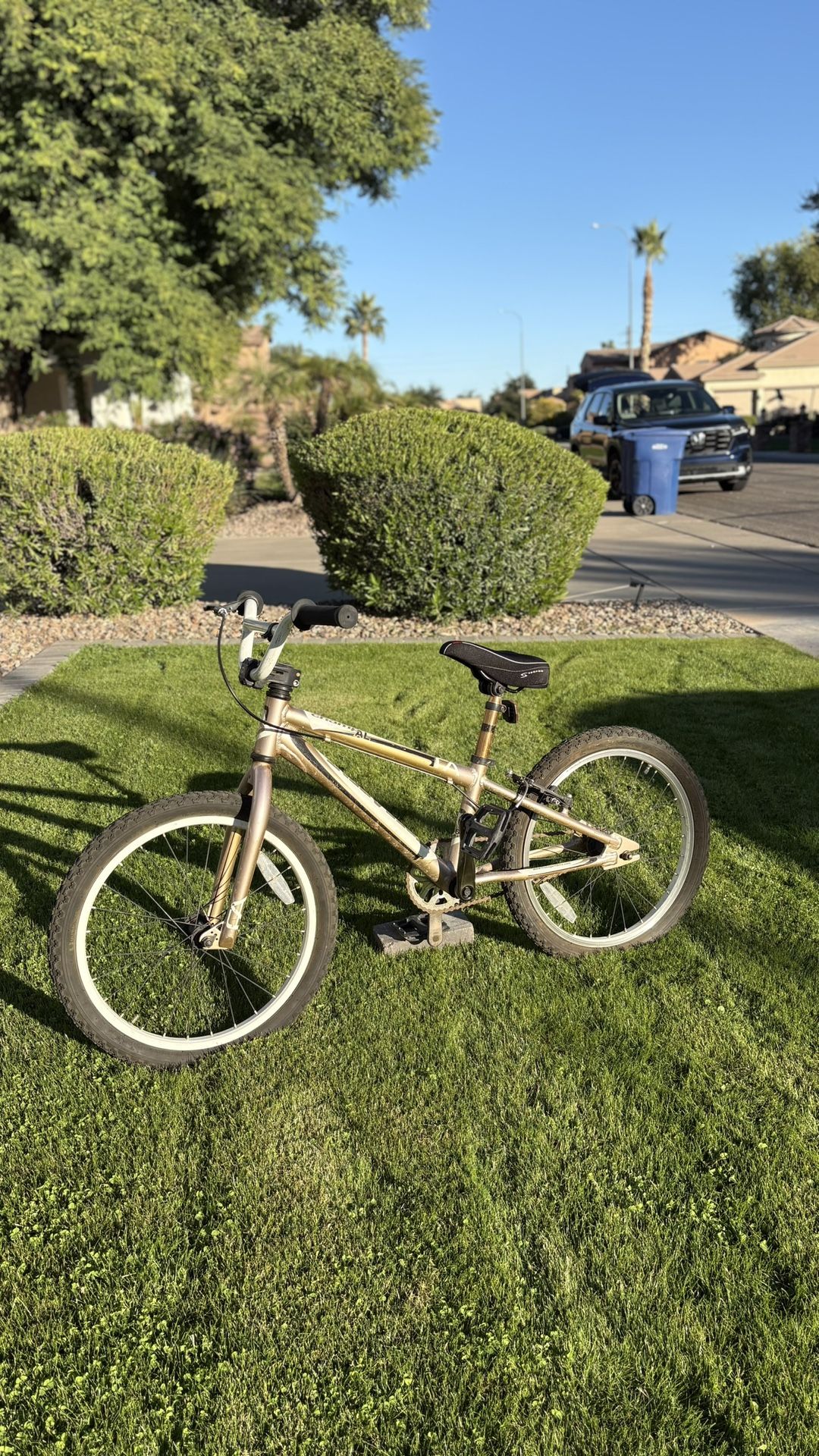 BMX Free Agent Champ AL-Kids Bike