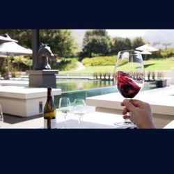 Indoor Outdoor Wine Glasses