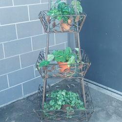 Collapsible 3 Tier Plant Stand