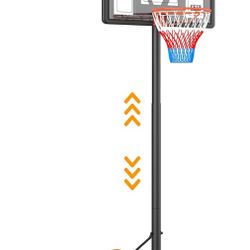 Basketball Indoor Outdoor