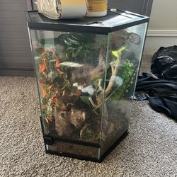 Reptile Aquarium
