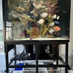 450 Gallon Fish With Stand 