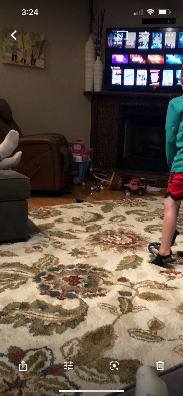 Rugs - 8x10 And - Pet And Smoke Free Home