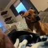 Emily