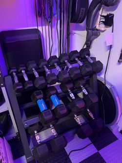 15lbs Dumbbells