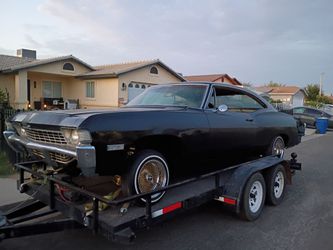 Impala