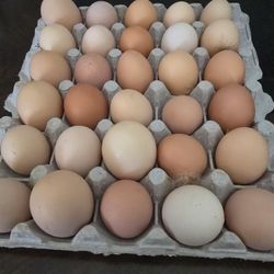 organic eggs fresh