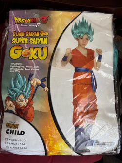 Goku costume child size 14/16