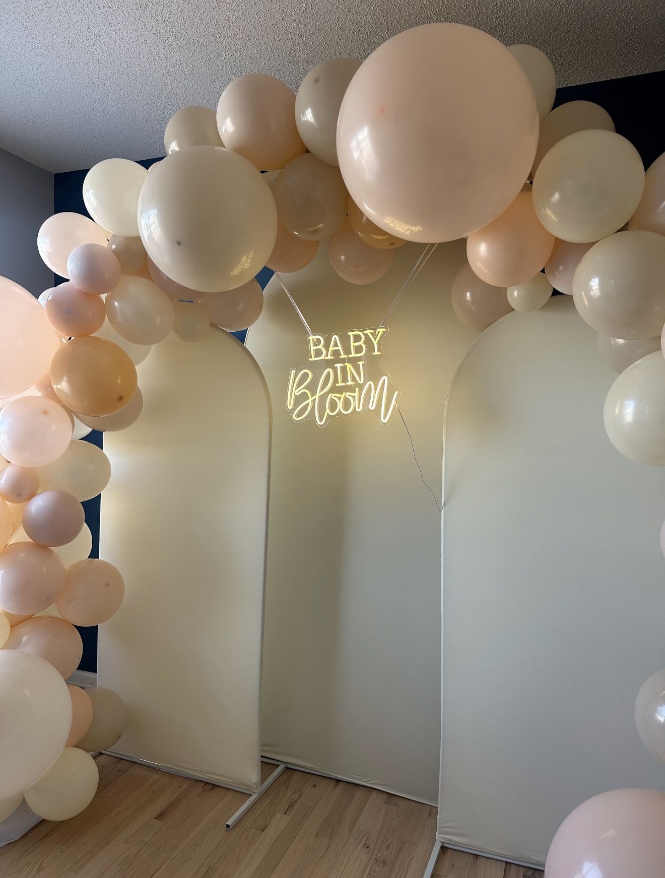 Balloon Arch & Party